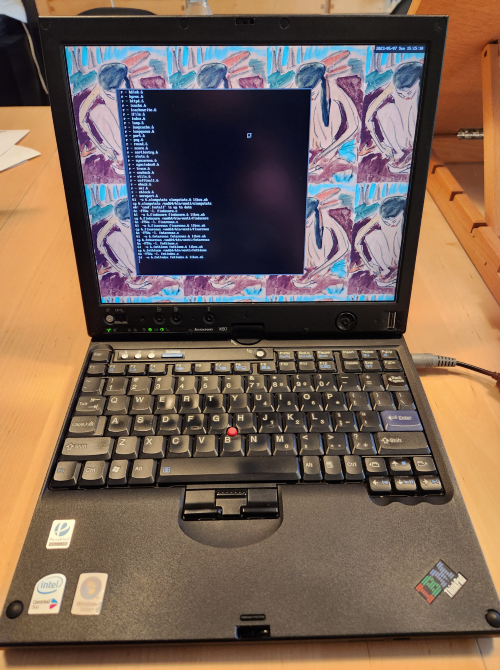 Lenovo ThinkPad X60 Tablet 6366-L6U